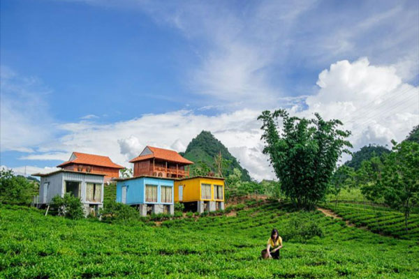 Homestay container Mộc Châu